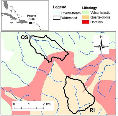 Hysteretic Response of Solutes and Turbidity at the Event Scale Across Forested Tropical Montane Watersheds